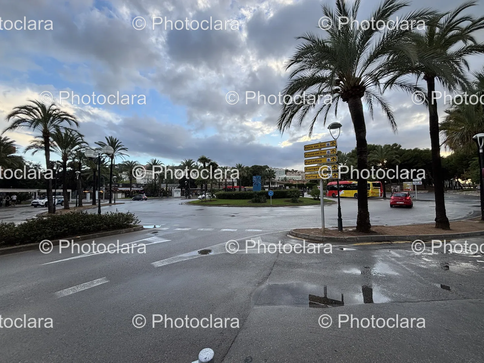 palm-tree-lined-street-bahia-del-sol.jpg