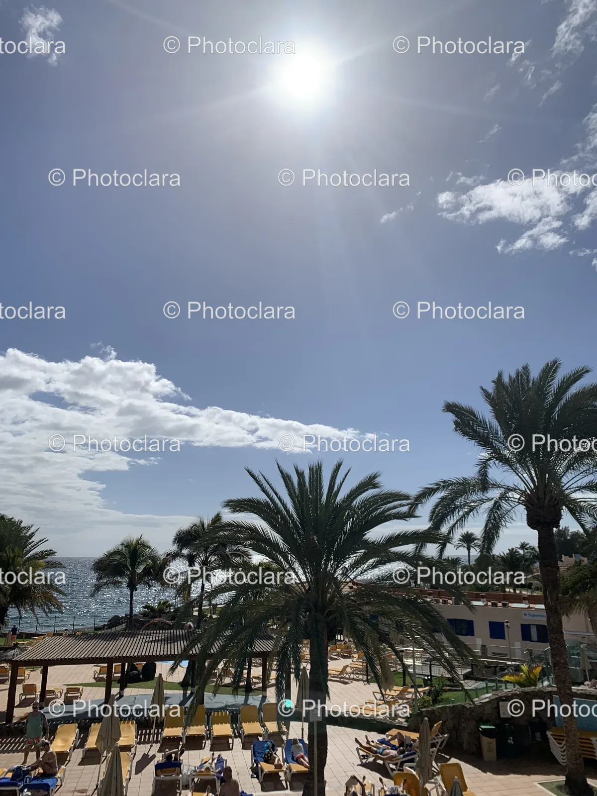 Palm-Trees-and-Beach.jpg