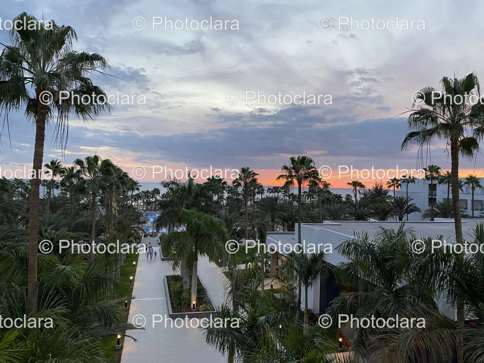 palm-trees-buildings-sunset.jpg