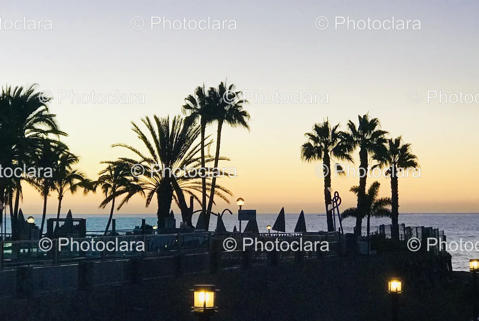 palm-trees-on-tropical-beach-at-sunset.jpg