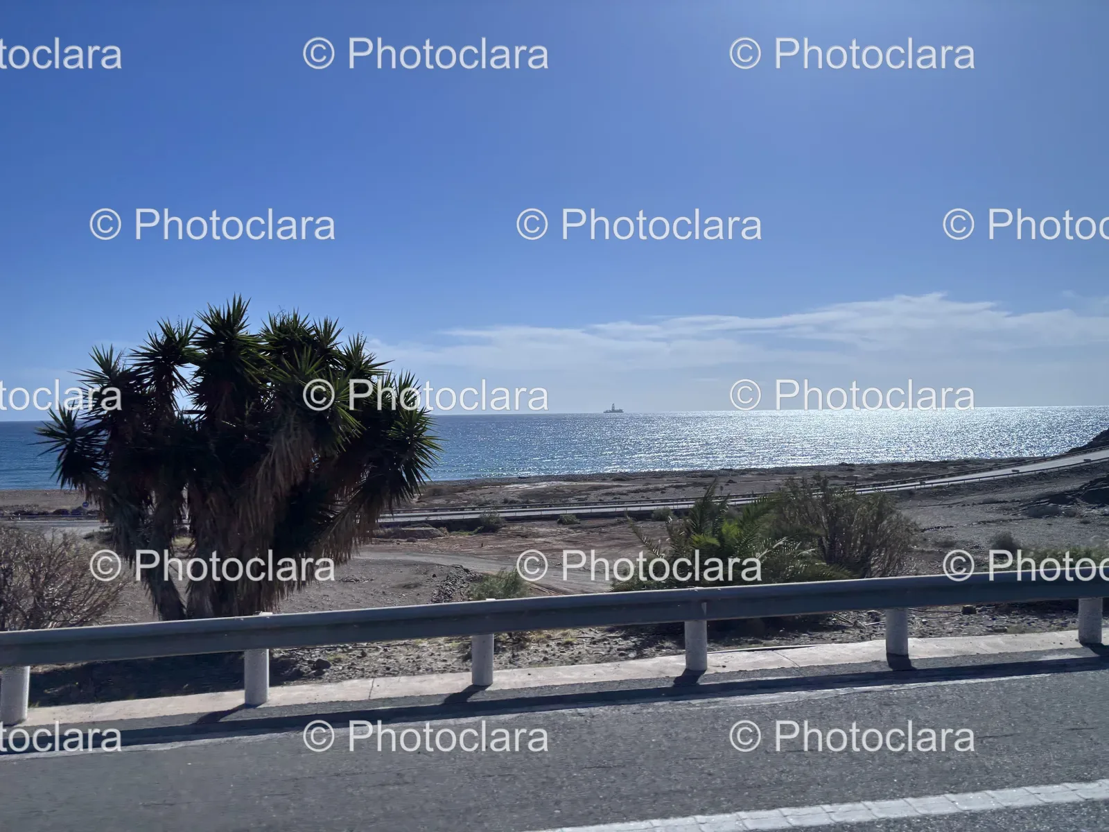 scenic-tropical-roadside-view.jpg