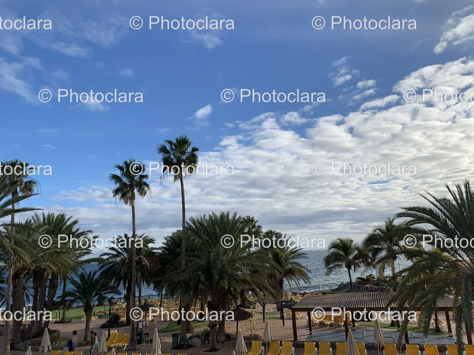 Serene-Beach-with-Palm-Trees-Blue-Sky.jpg