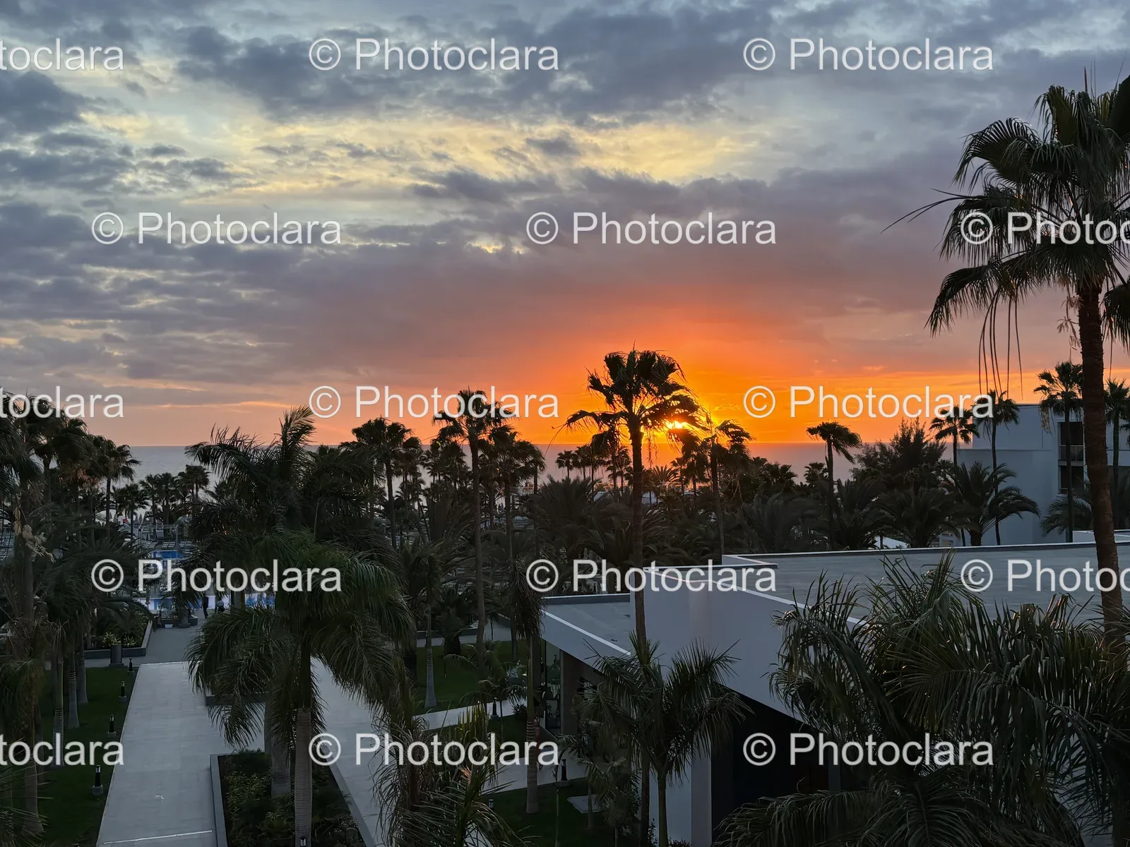 sunset-over-beach-with-palm-trees.jpg