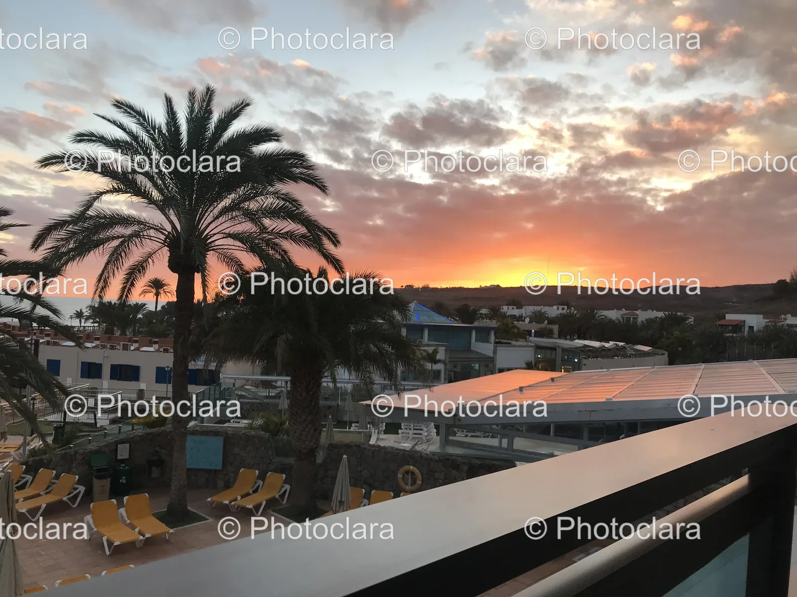 Sunset-Over-Palm-Trees-and-Building.jpg