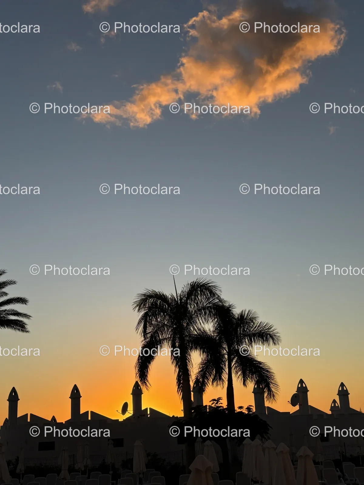 Sunset-Silhouette-with-Palm-Trees.jpg