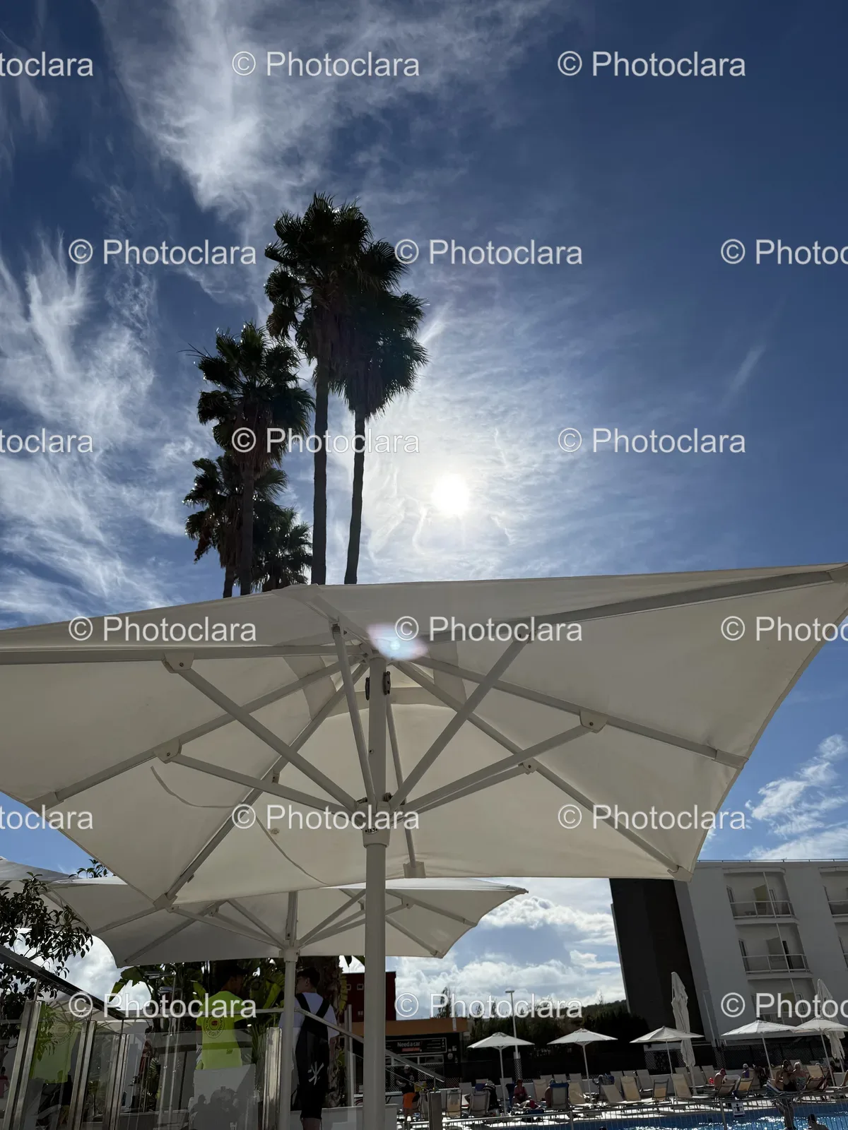 Tropical-Paradise-Umbrellas-Palm-Trees-Blue-Sky.jpg