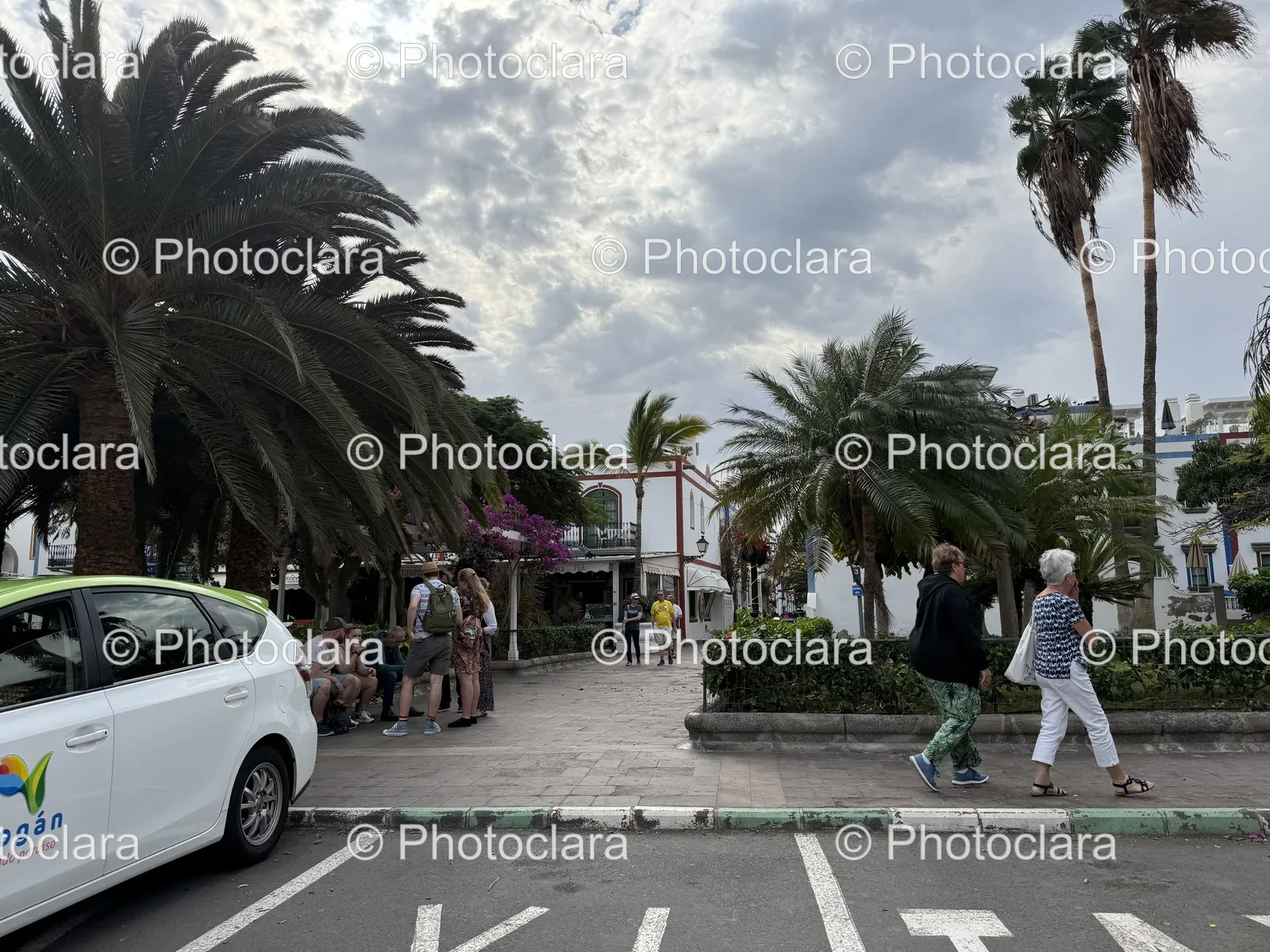 Palm-Lined-Sidewalk-Stroll.jpg