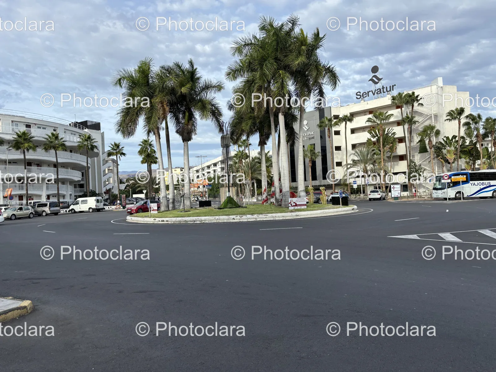 Palm-Lined-Urban-Street.jpg
