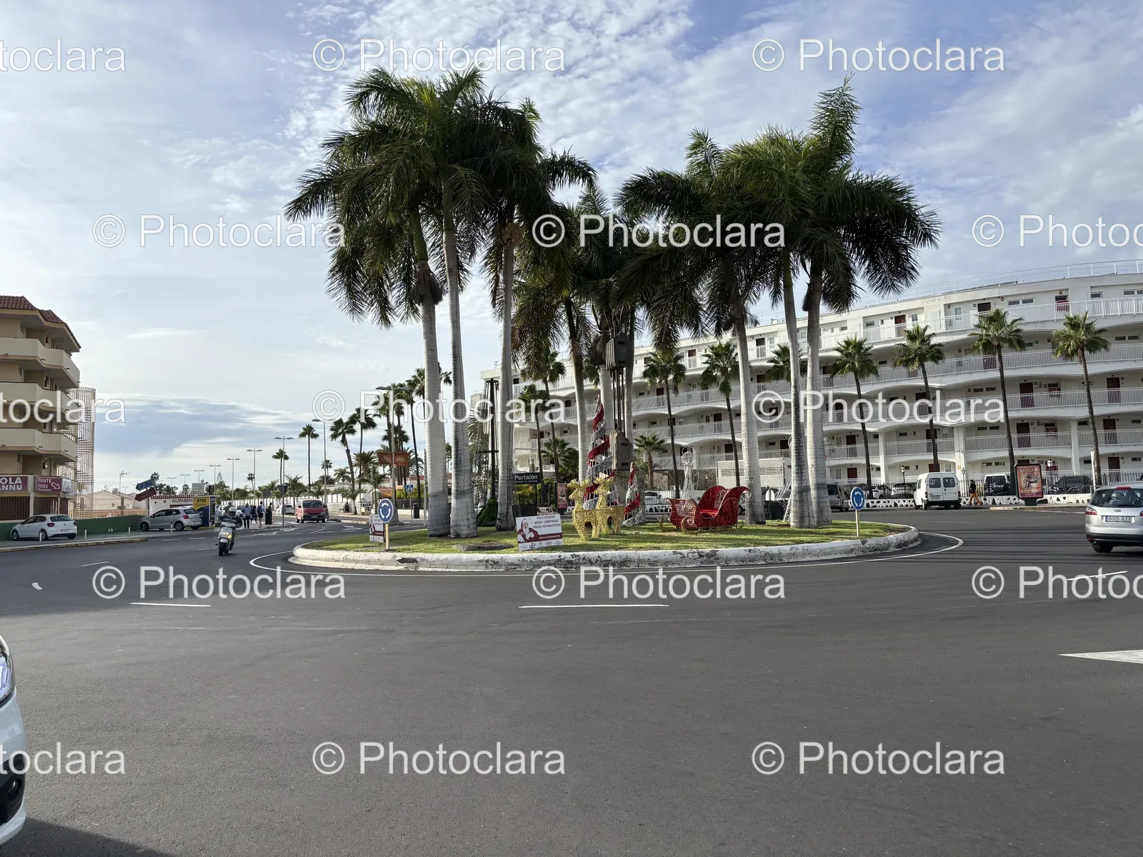 palm-tree-lined-street-urban-view.jpg