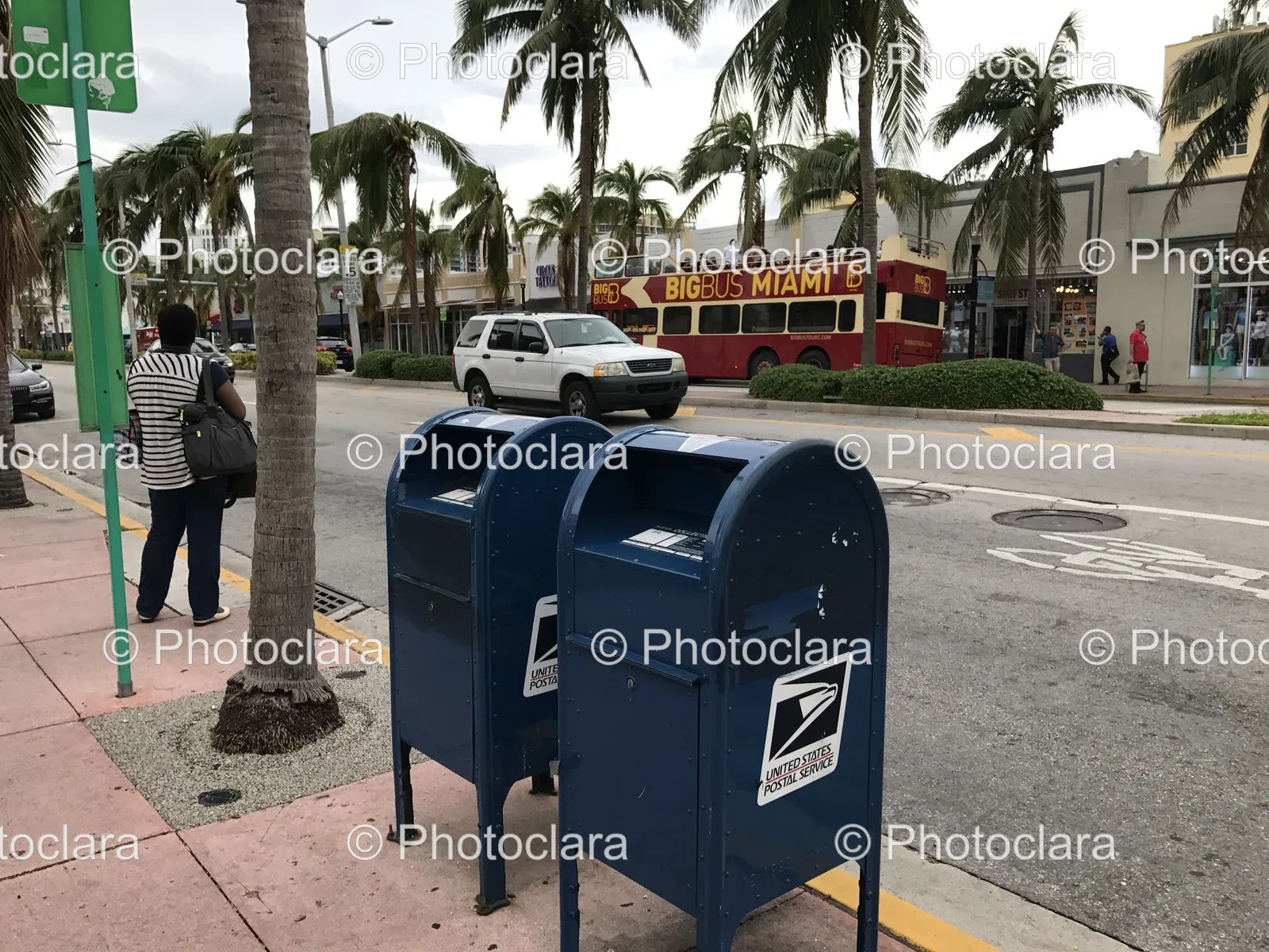 blue-mailboxes-on-palm-lined-street.jpg