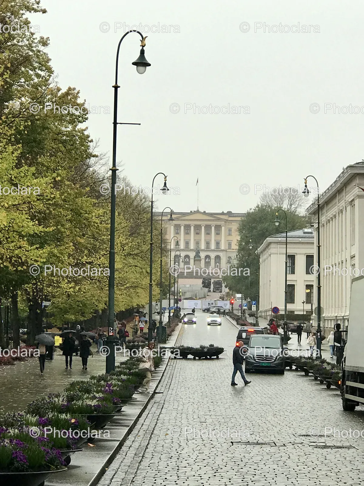 Bustling-Urban-Street-with-Cars-and-Pedestrians.jpg