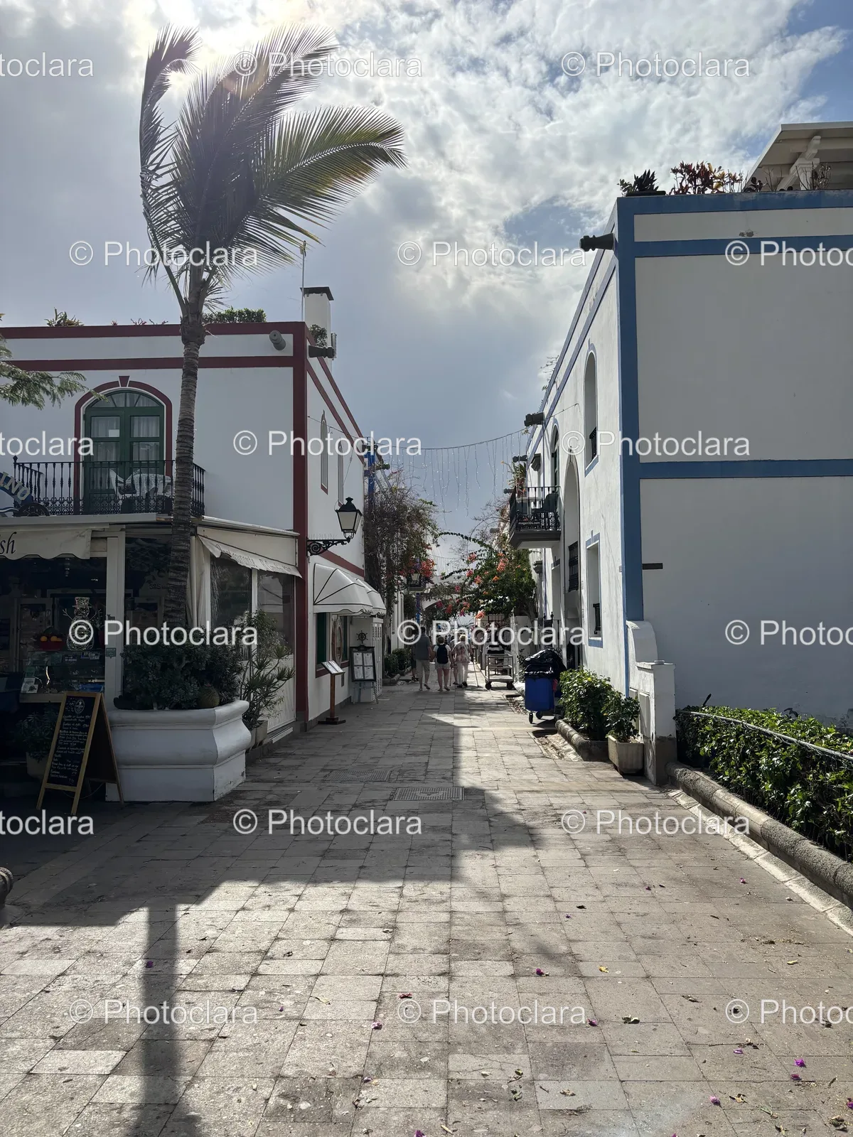 charming-city-street-buildings-trees.jpg