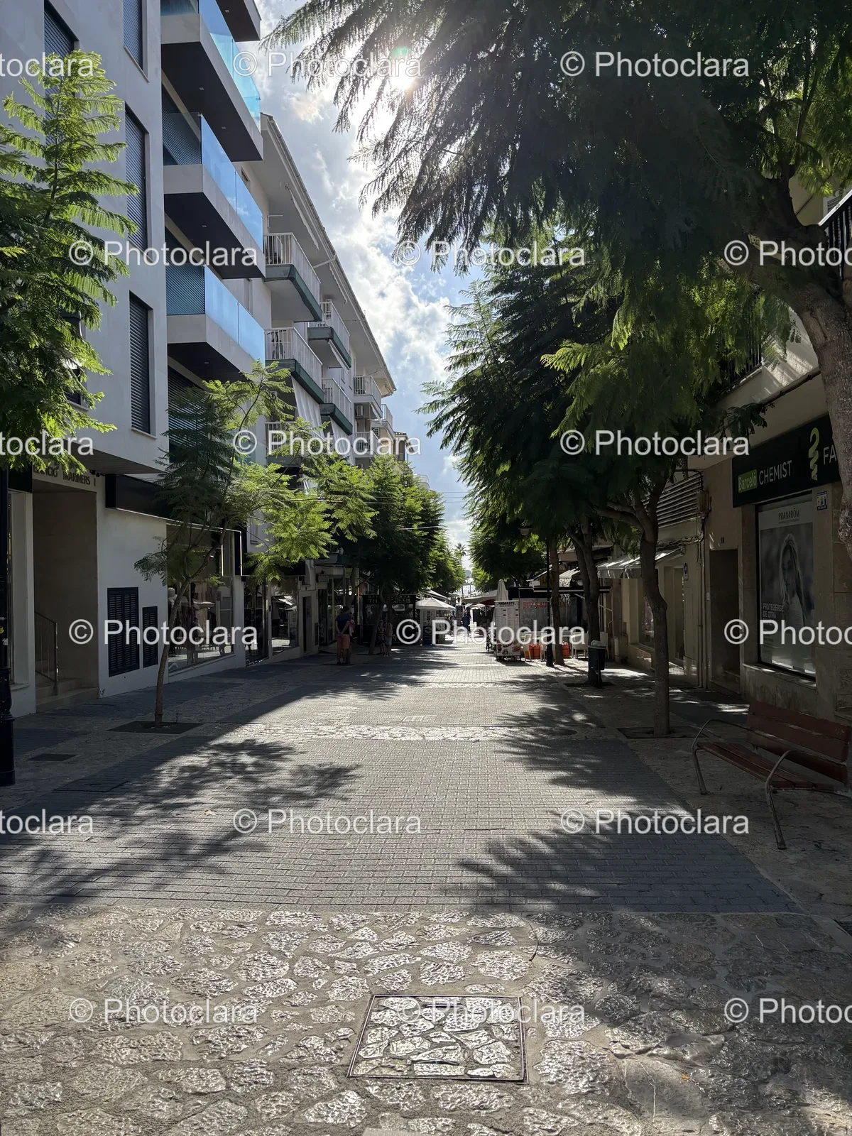 Charming-Urban-Street-with-Trees-and-Architecture.jpg