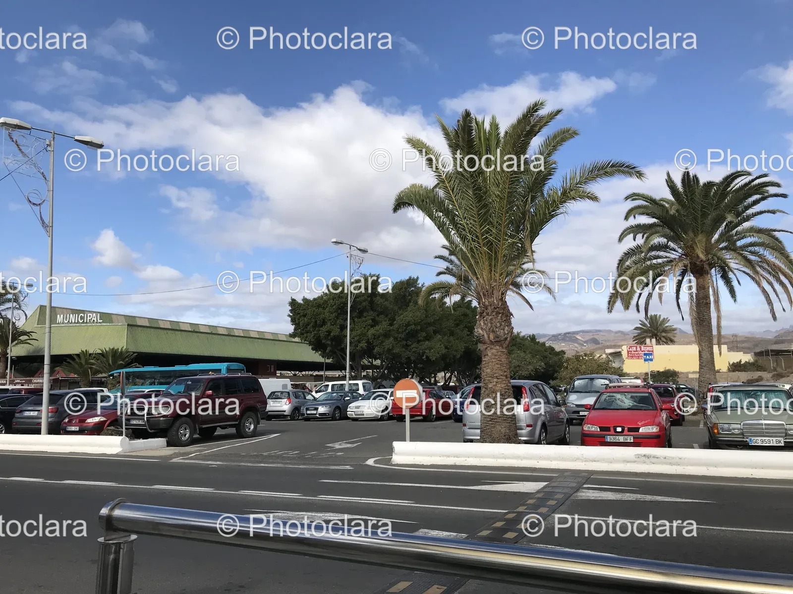Municipal-Parking-Lot-with-Palm-Trees.jpg