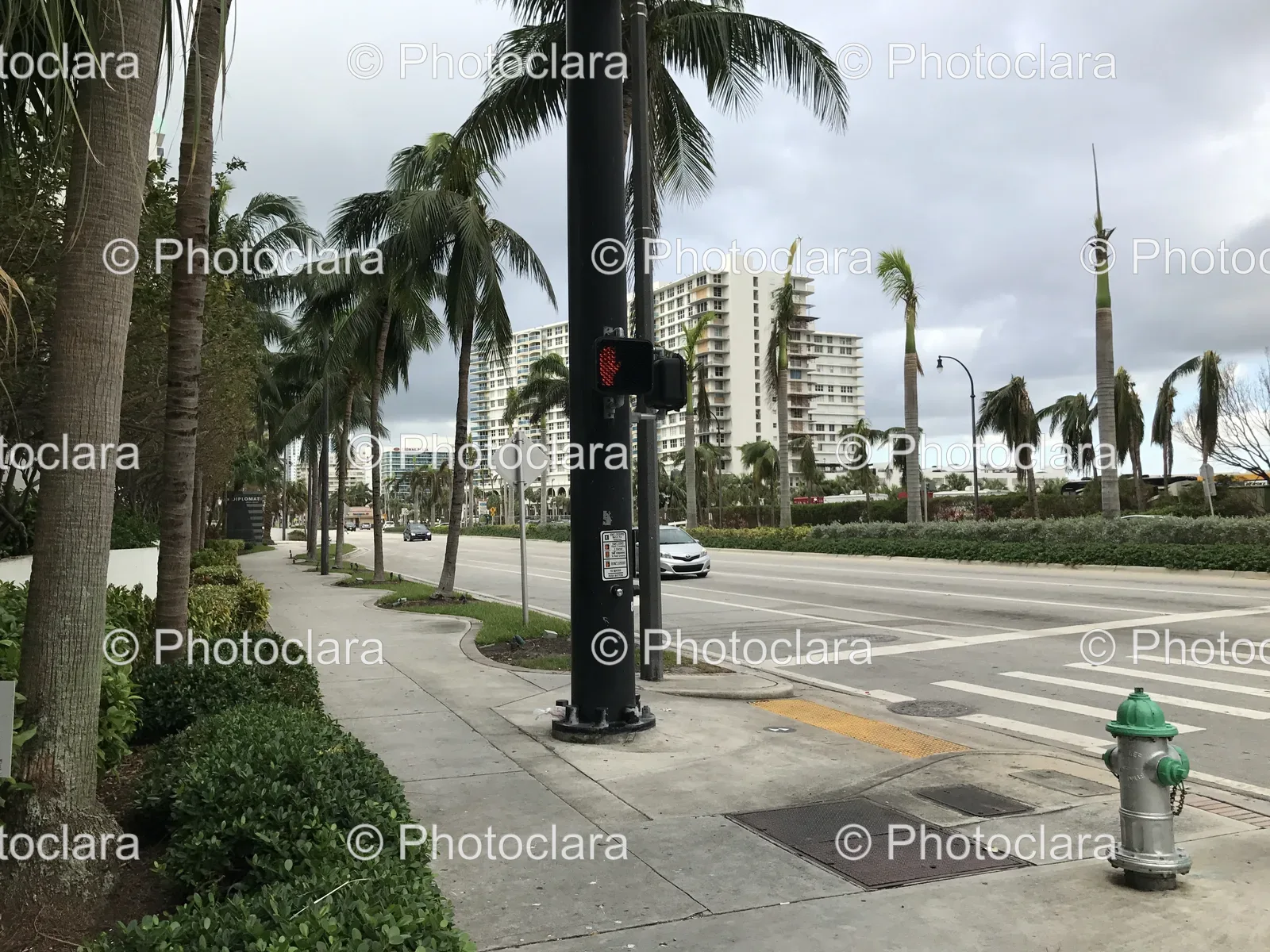 Palm-Lined-Street-with-Traffic-Light.jpg