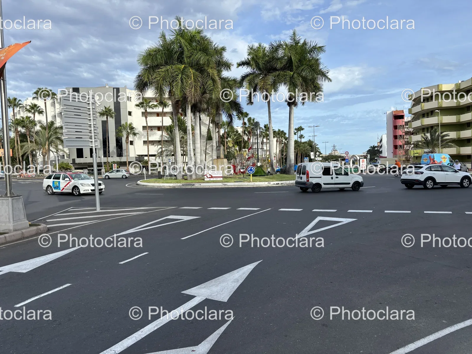 palm-tree-lined-street-at-christmas.jpg