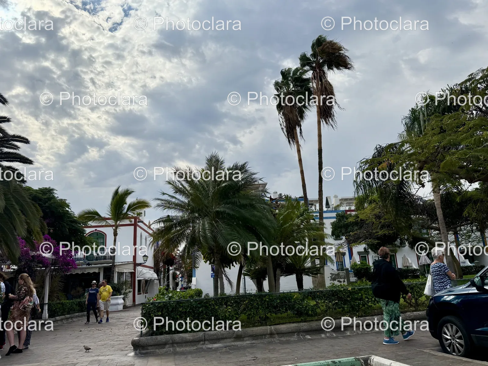 People-Walking-Urban-Street-Palm-Trees.jpg