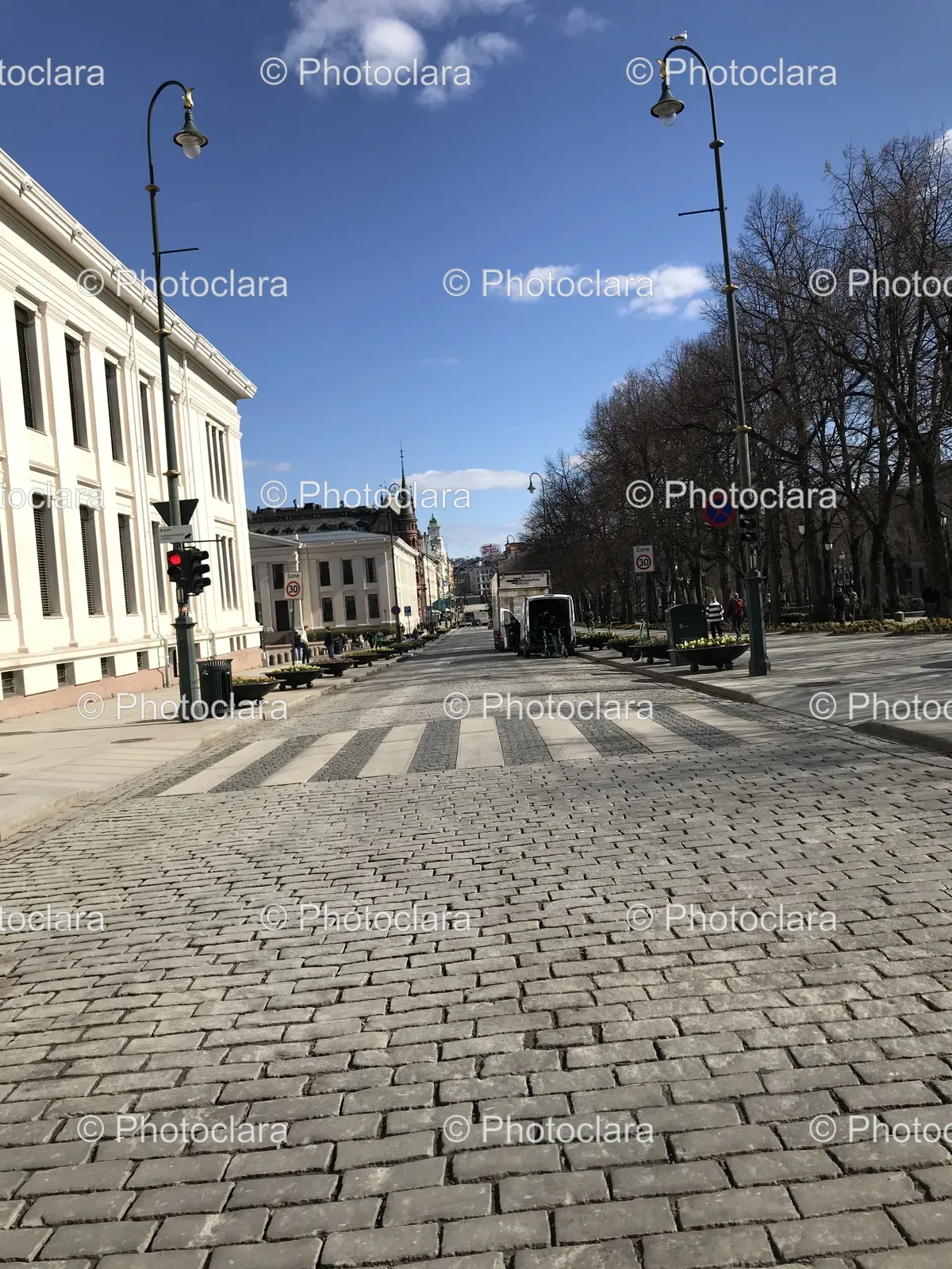 quaint-urban-street-scene-with-trees-and-buildings.jpg