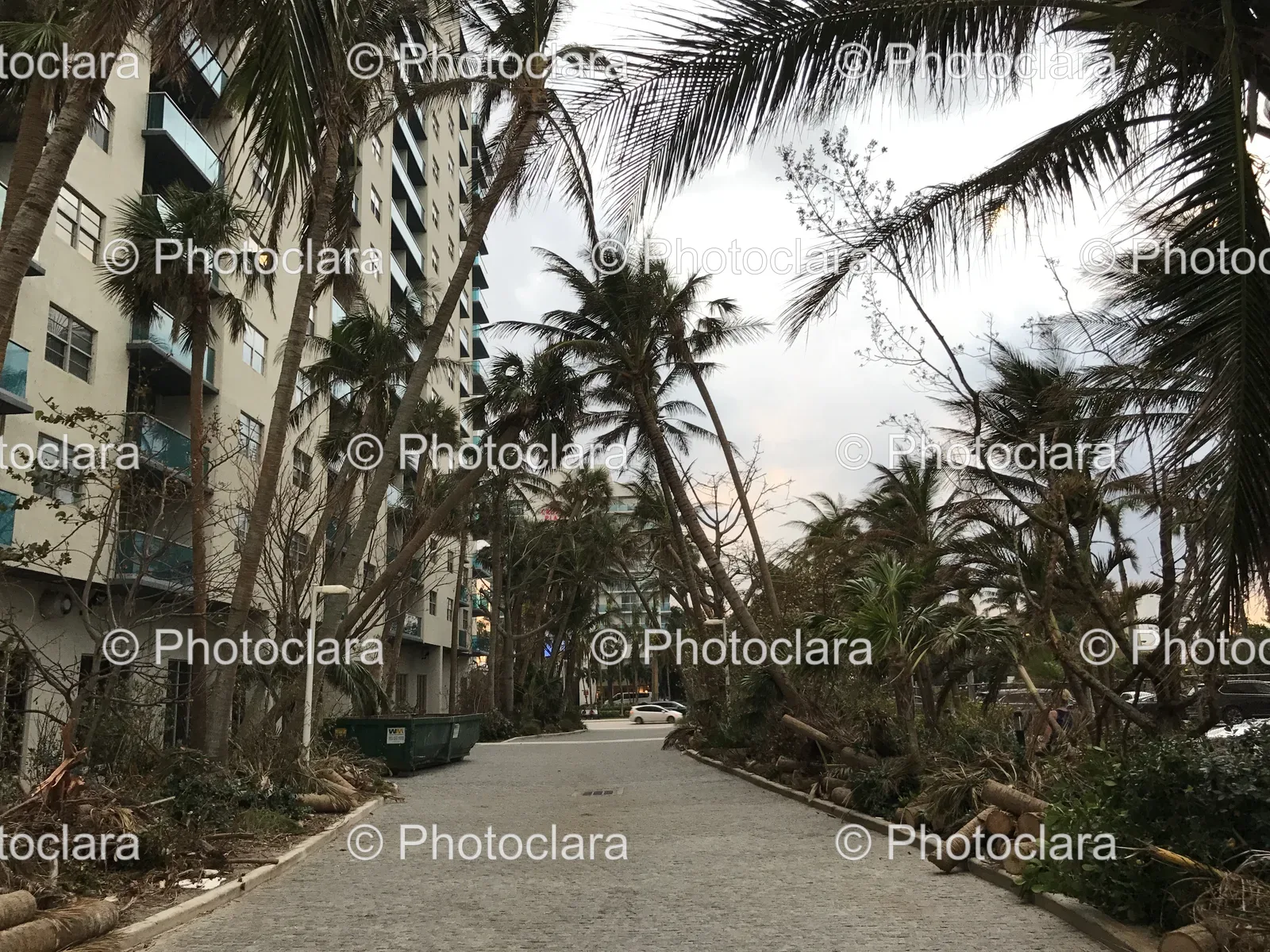 scenic-urban-street-with-palm-trees.jpg