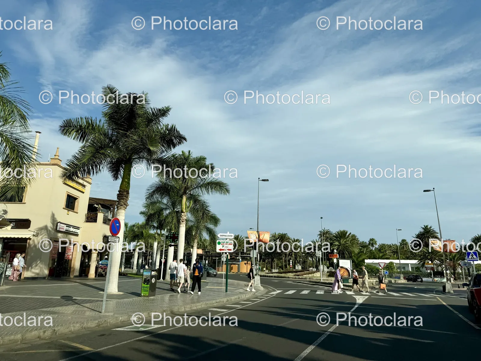Serene-Street-with-Palm-Trees.jpg