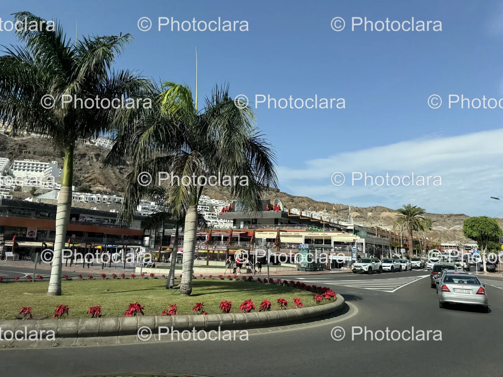 Serene-Urban-Street-with-Palm-Trees.jpg