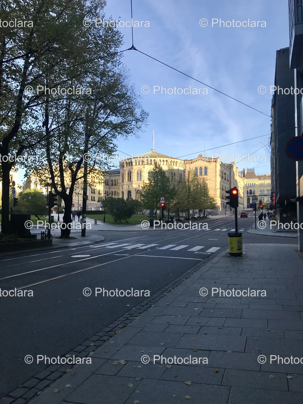 street-building-trees-under-sky.jpg