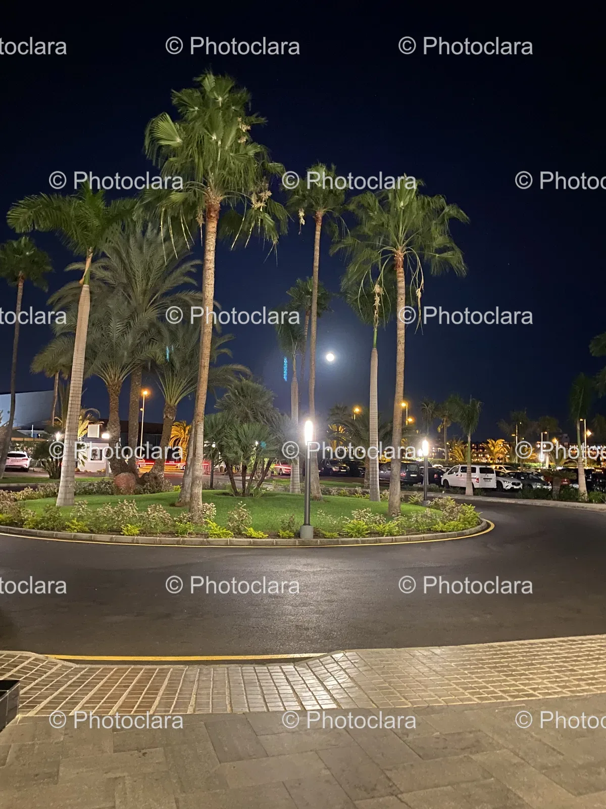 Circular-Road-at-Night-with-Palm-Trees.jpg