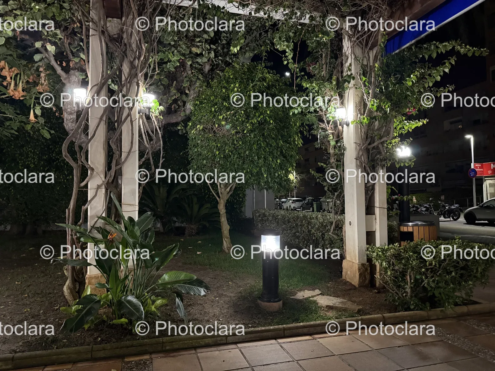 Illuminated-Trees-and-Pathway-in-Urban-Nightscape.jpg
