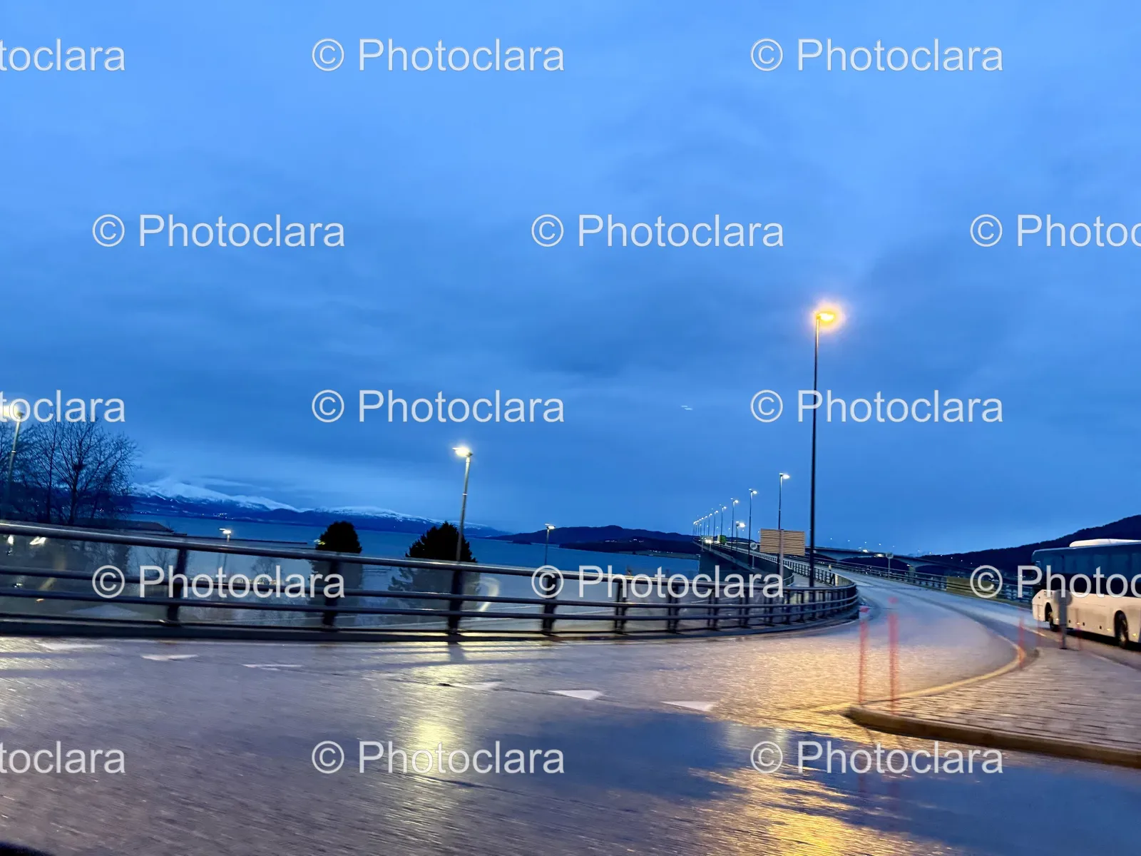 Night-Road-by-the-Lake-Illuminated-Street-Lights.jpg