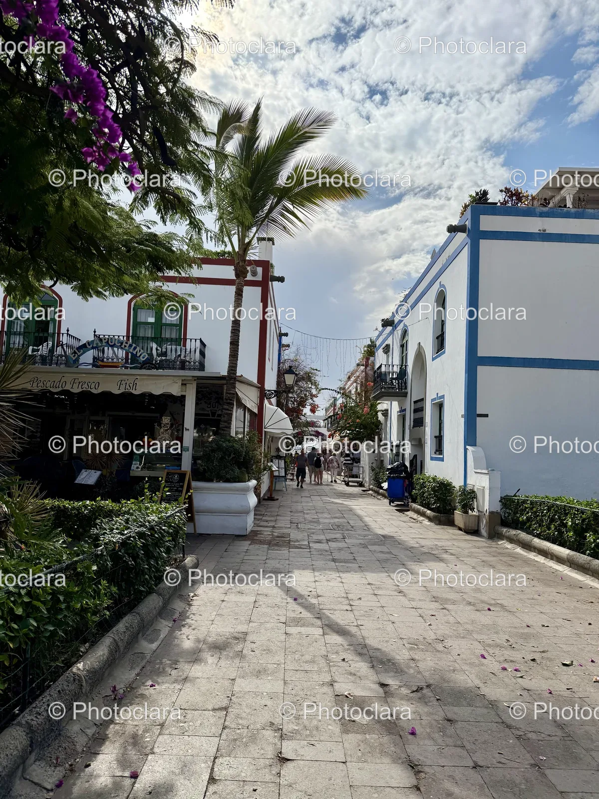 charming-city-street-with-fresh-fish-sign.jpg