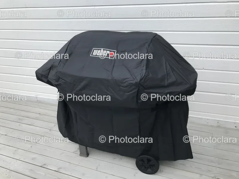 Barbecue Grills and Accessories