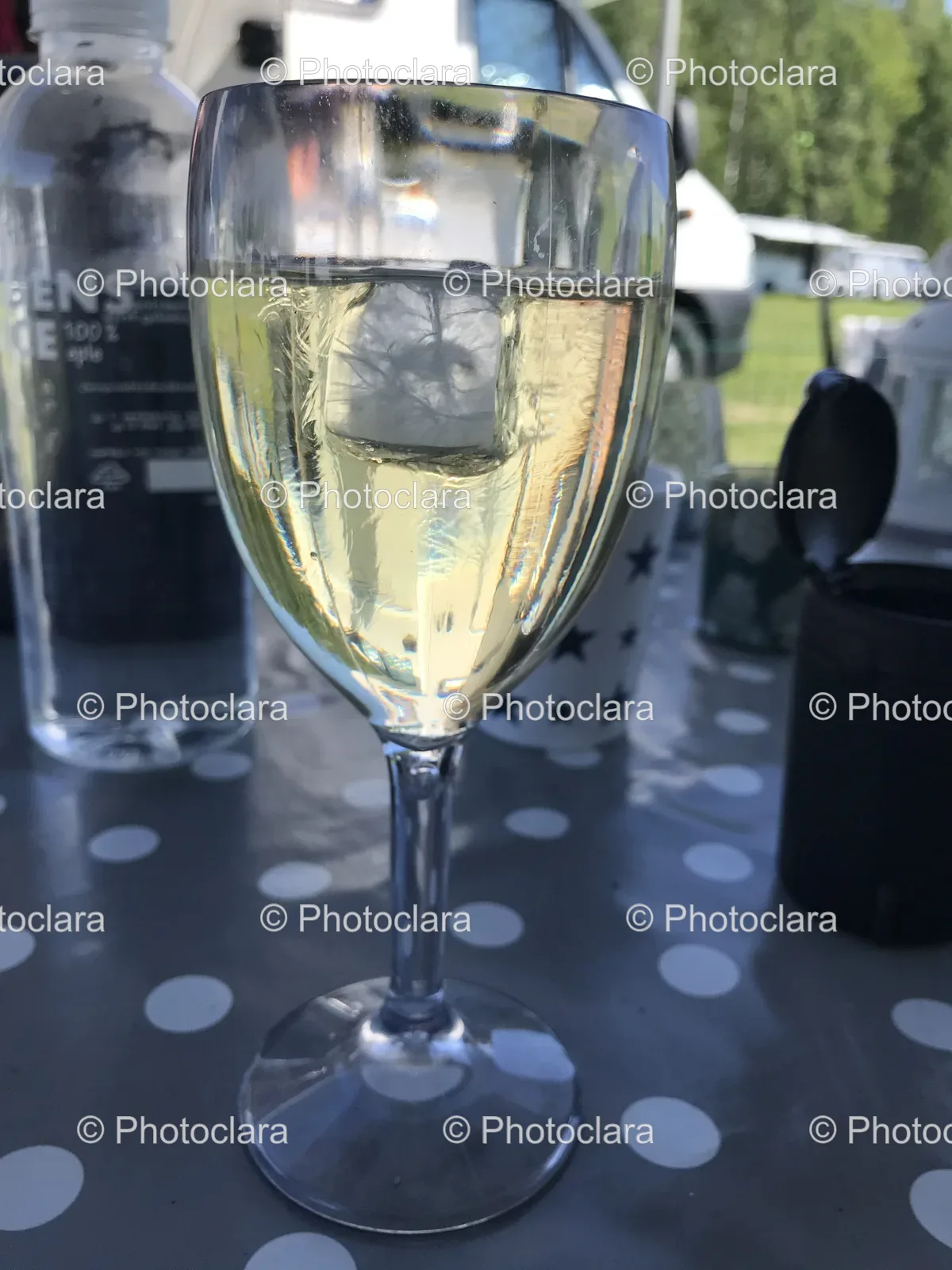 Glass-of-Wine-with-Ice-Cube.jpg