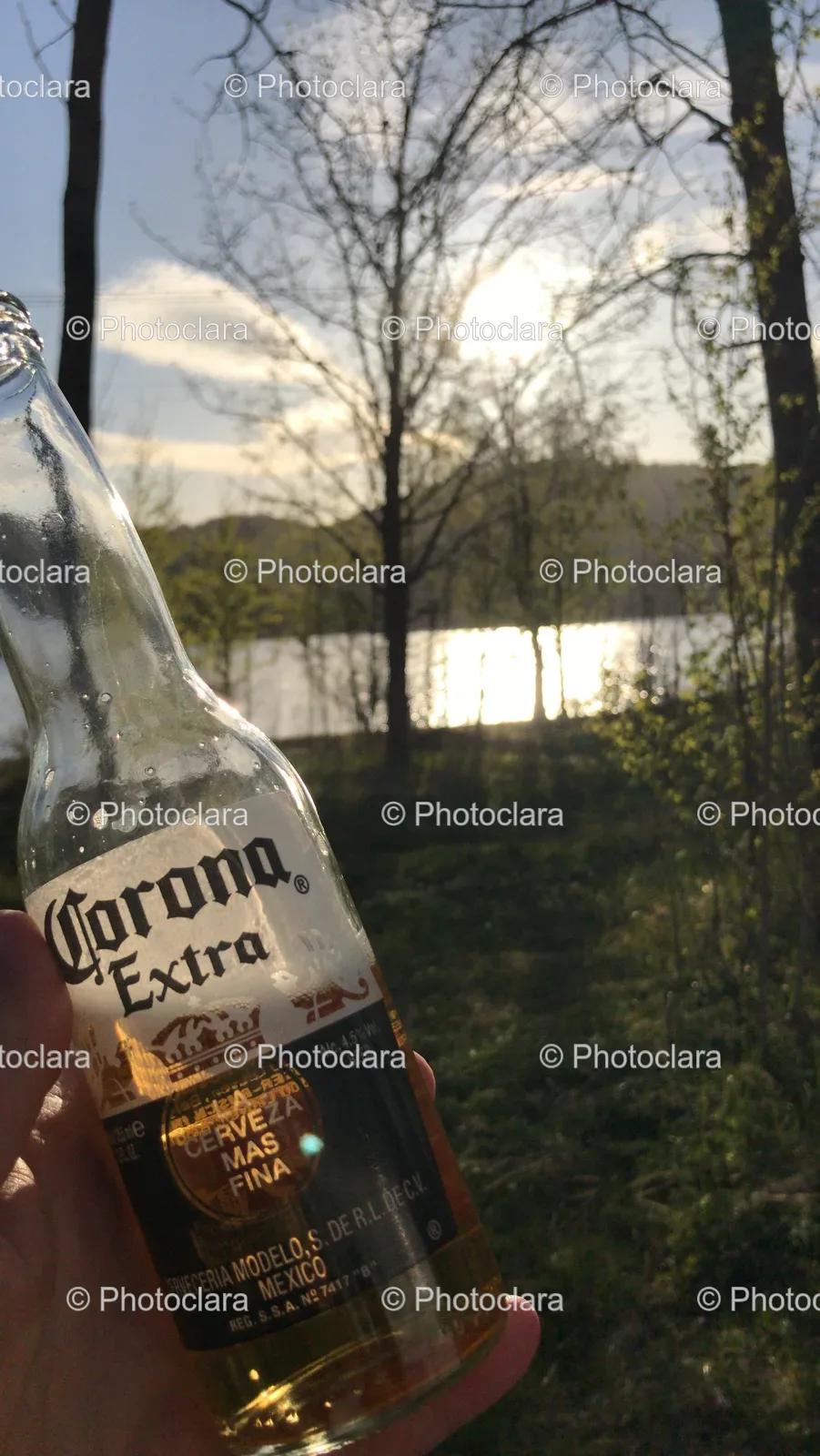 Hand-Holding-Corona-Beer-Bottle.jpg