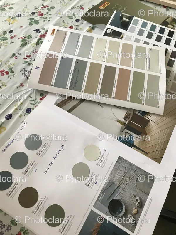 Paint and Accessories