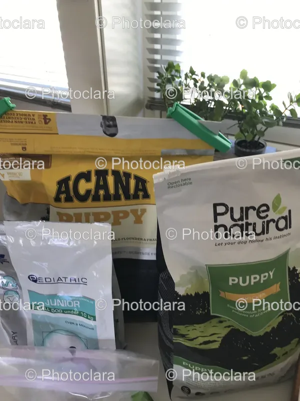 Pet Supplies
