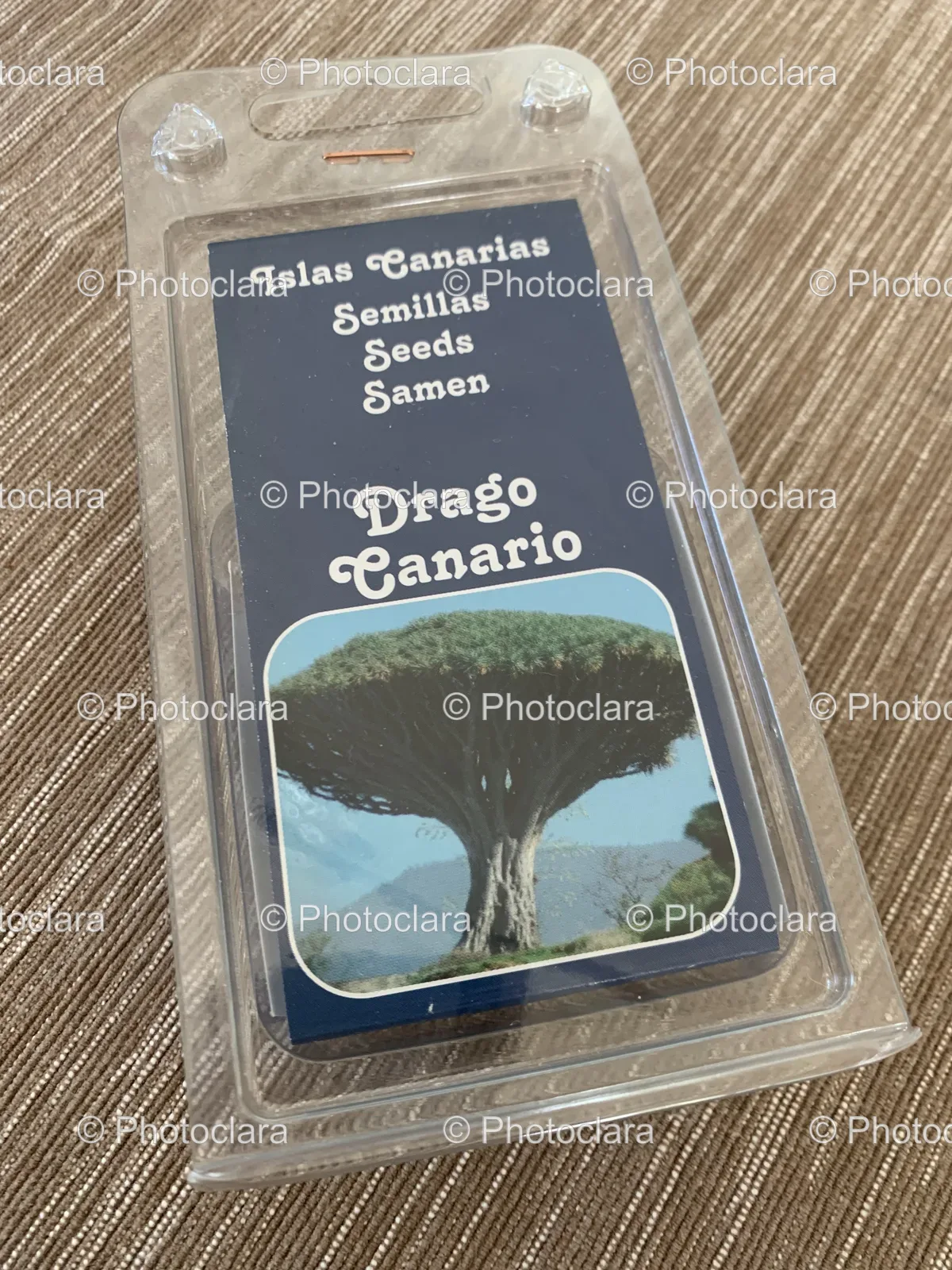 Pack-of-Drago-Canario-Seeds-Islas-Canarias.jpg