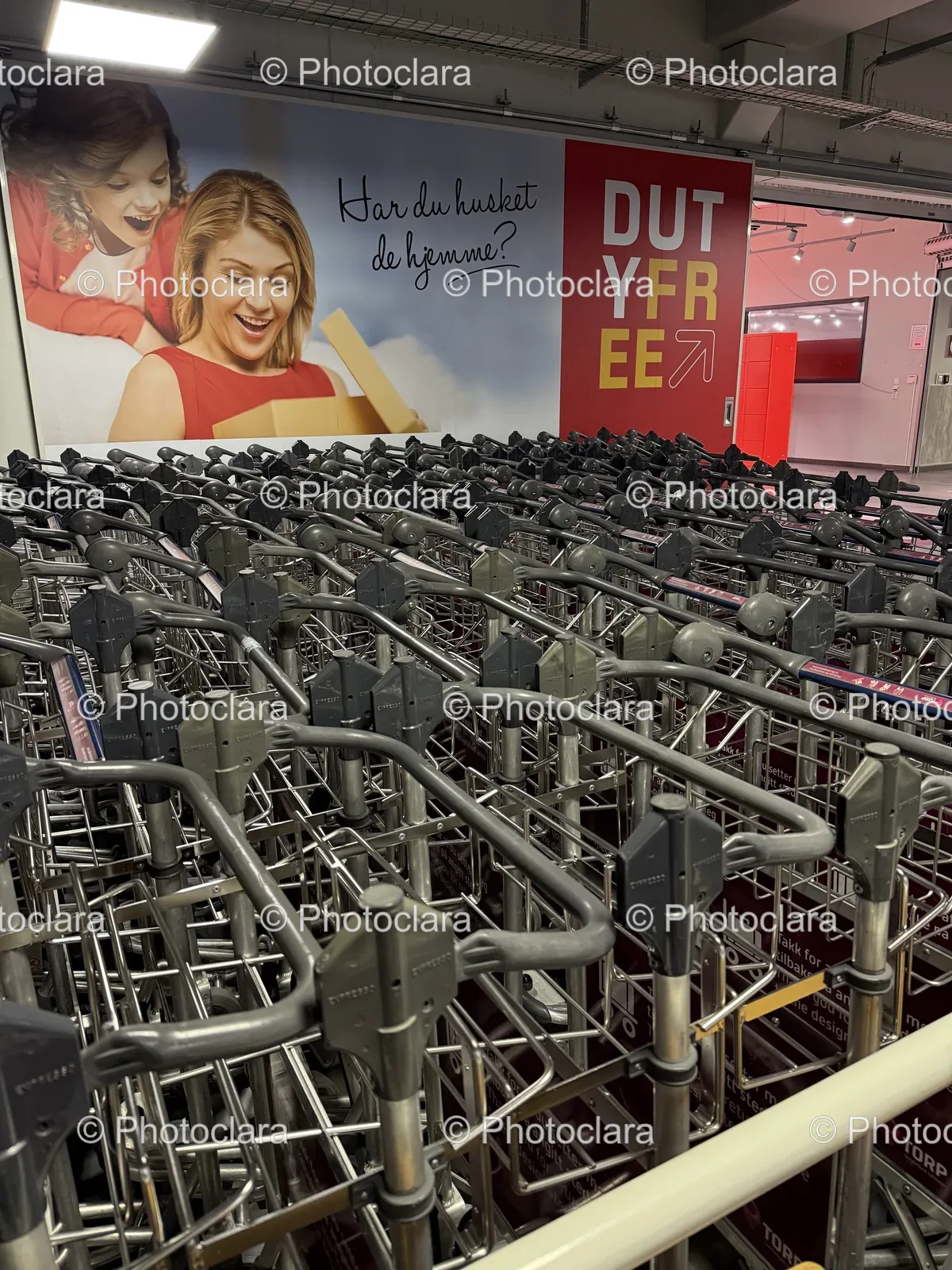 A-Cluster-of-Shopping-Carts.jpg