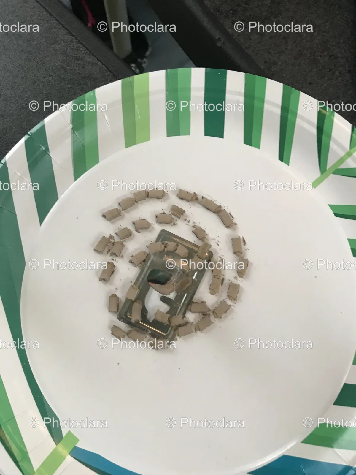 striped-plate-with-paper-pieces.jpg