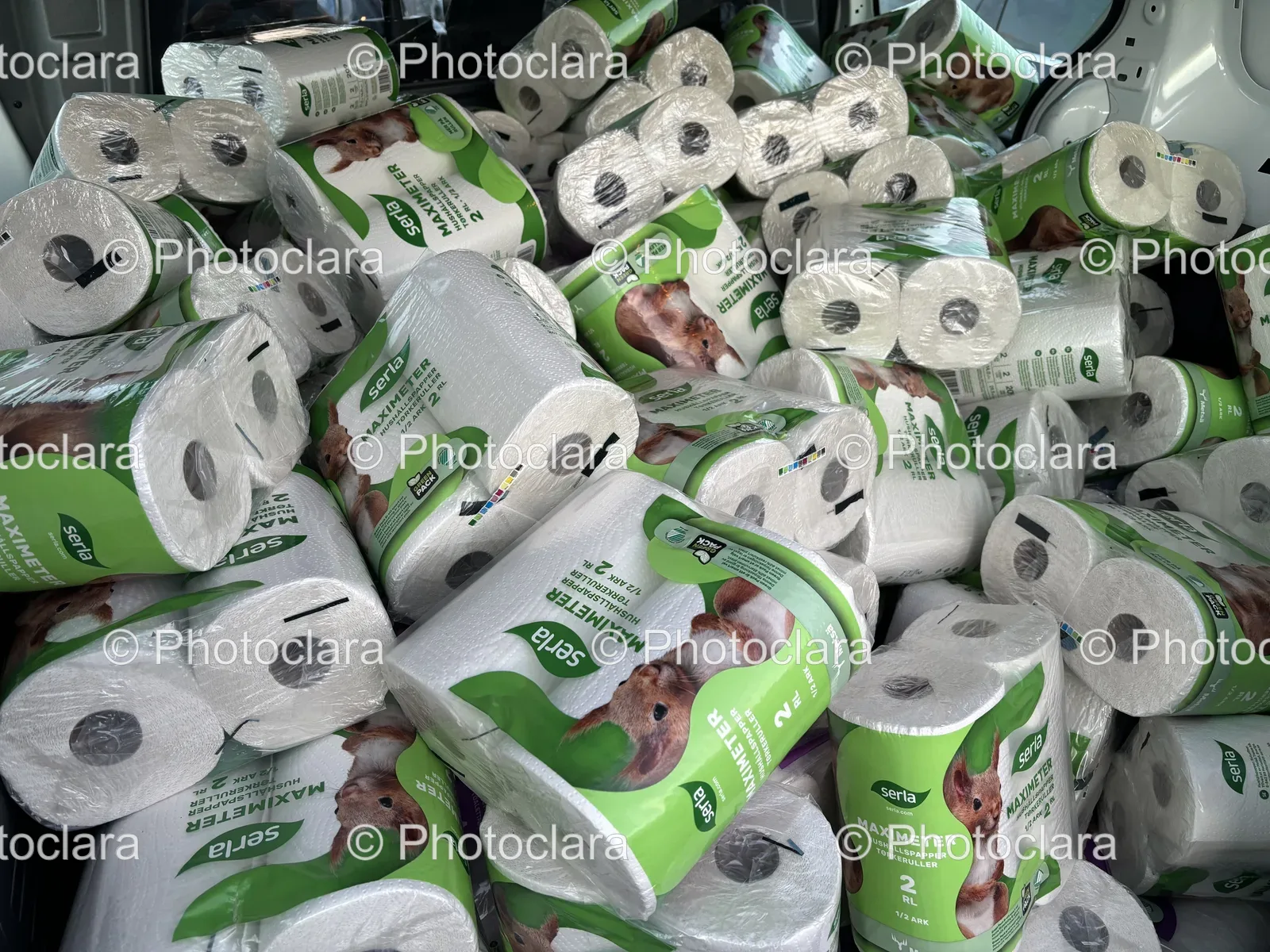 Pile-of-Toilet-Paper-Rolls.jpg