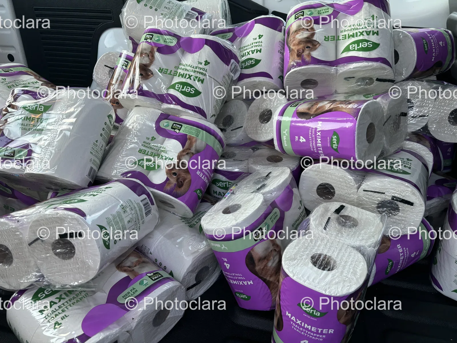 Large-Pile-of-Toilet-Paper-Rolls.jpg