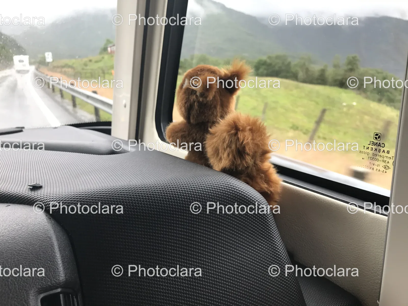 Stuffed-Animal-Window-Sill.jpg
