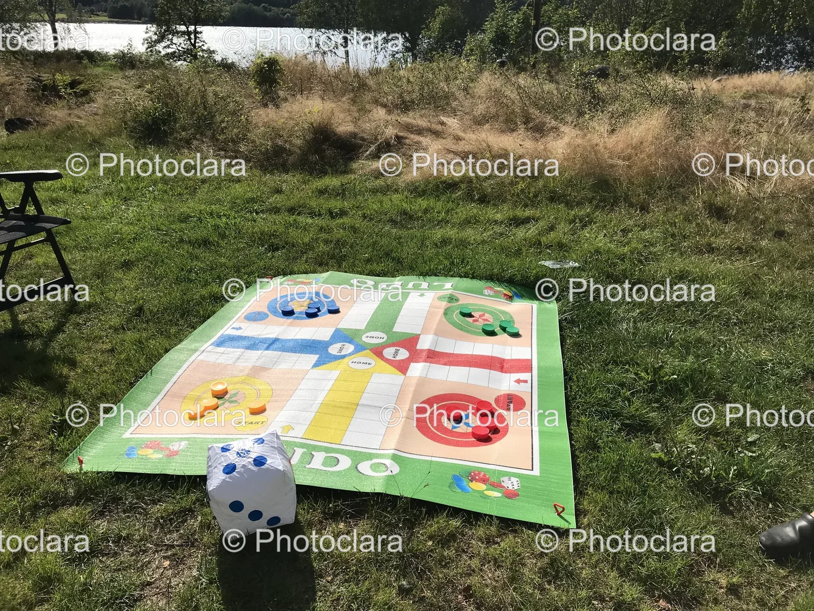 Game-Board-Grass-Dice.jpg