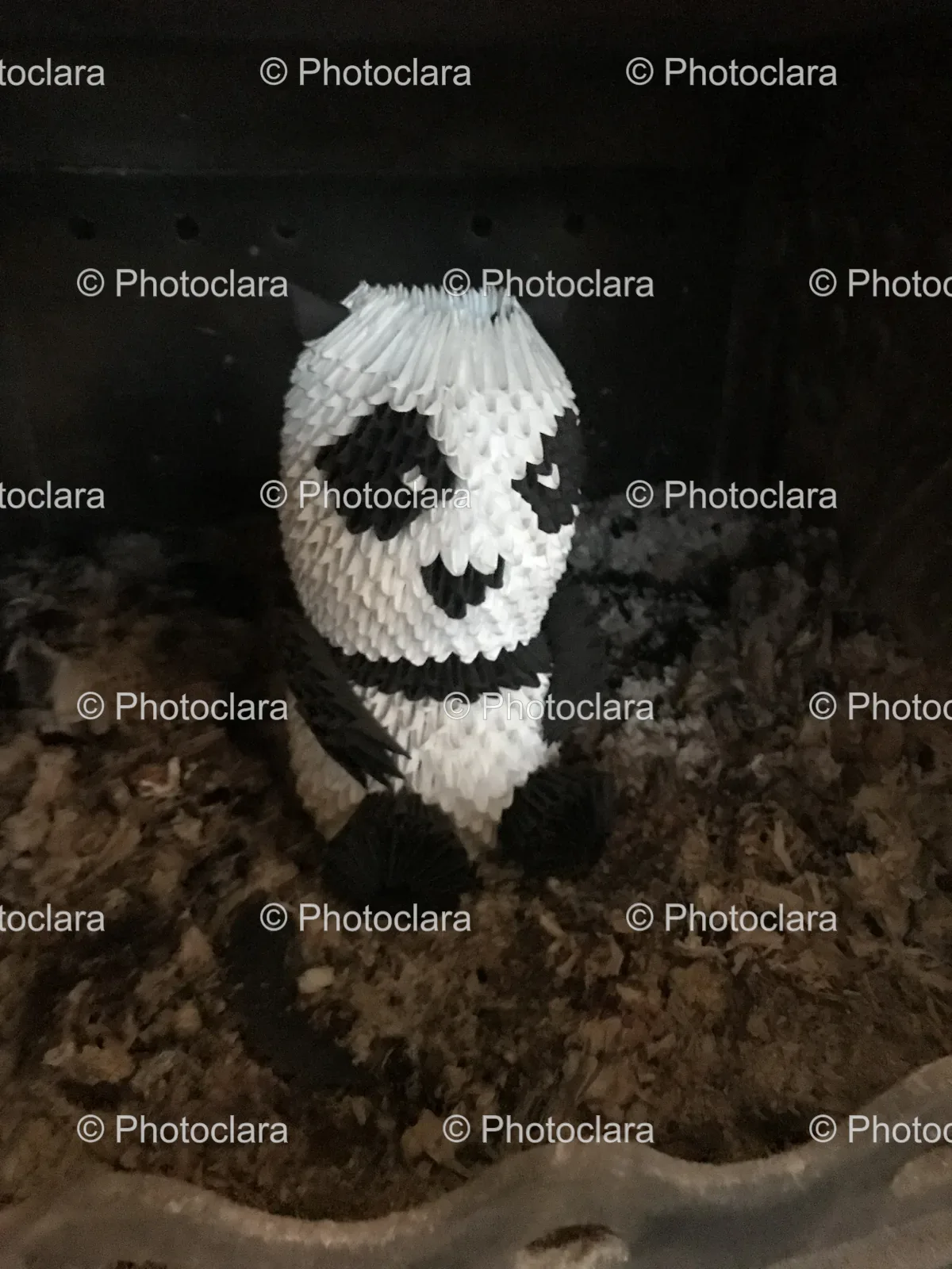 paper-panda-sculpture.jpg