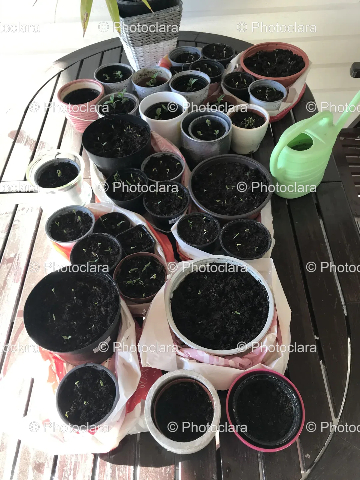 A-Group-of-Pots-with-Dirt-on-a-Table.jpg