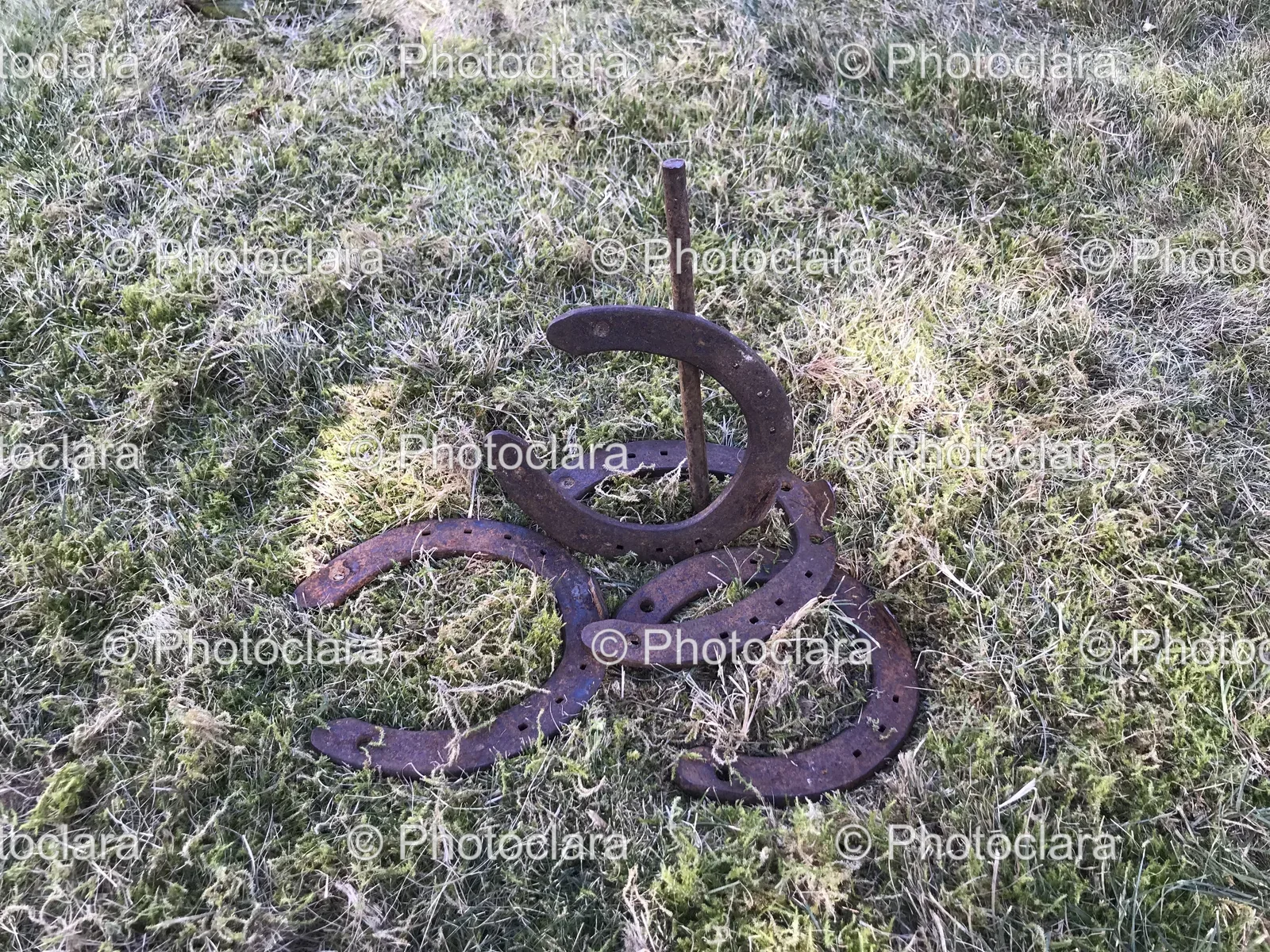 pile-of-horseshoes-in-grass.jpg