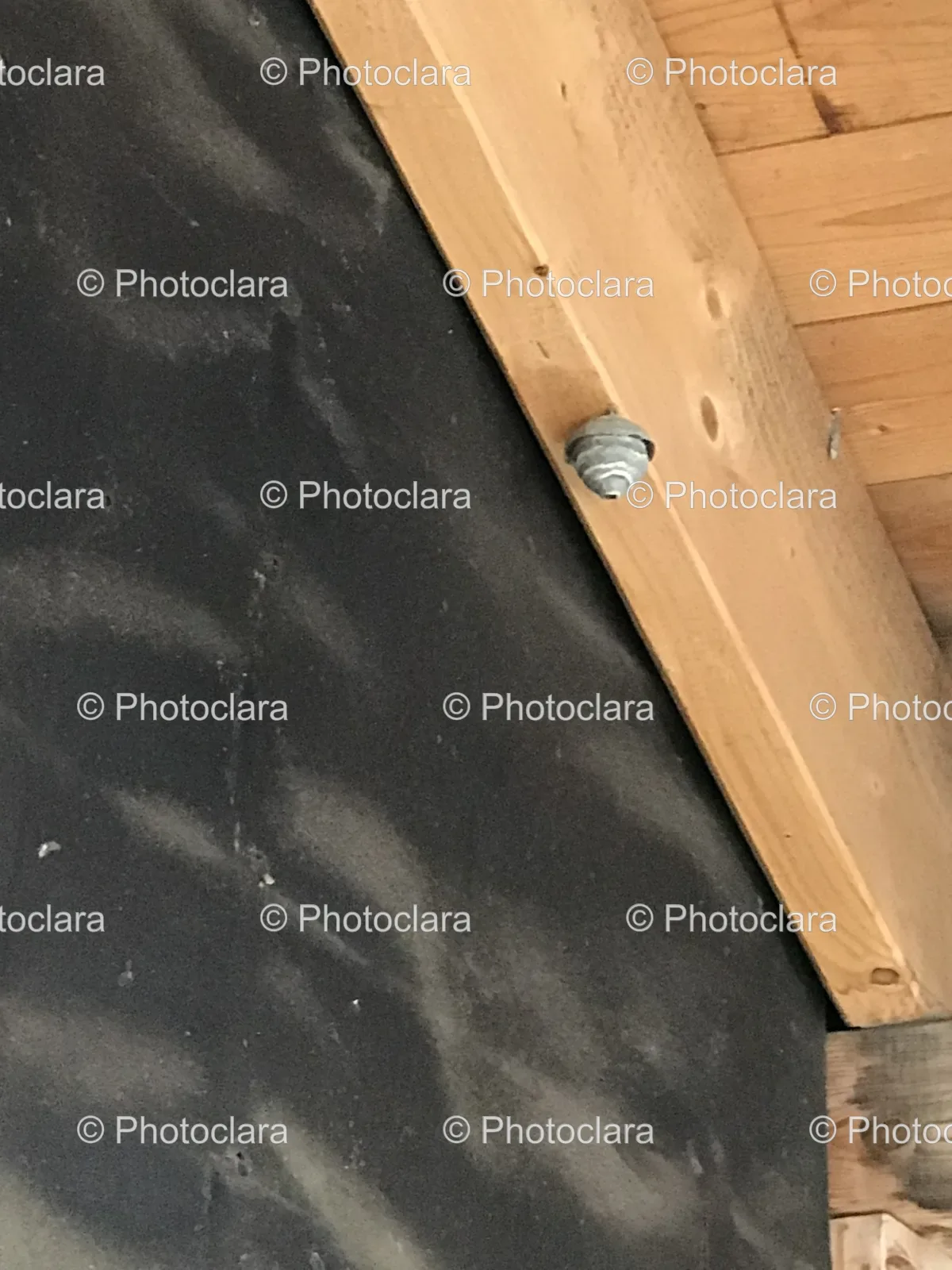 Wood-and-Metal-Screw-on-Black-Surface.jpg
