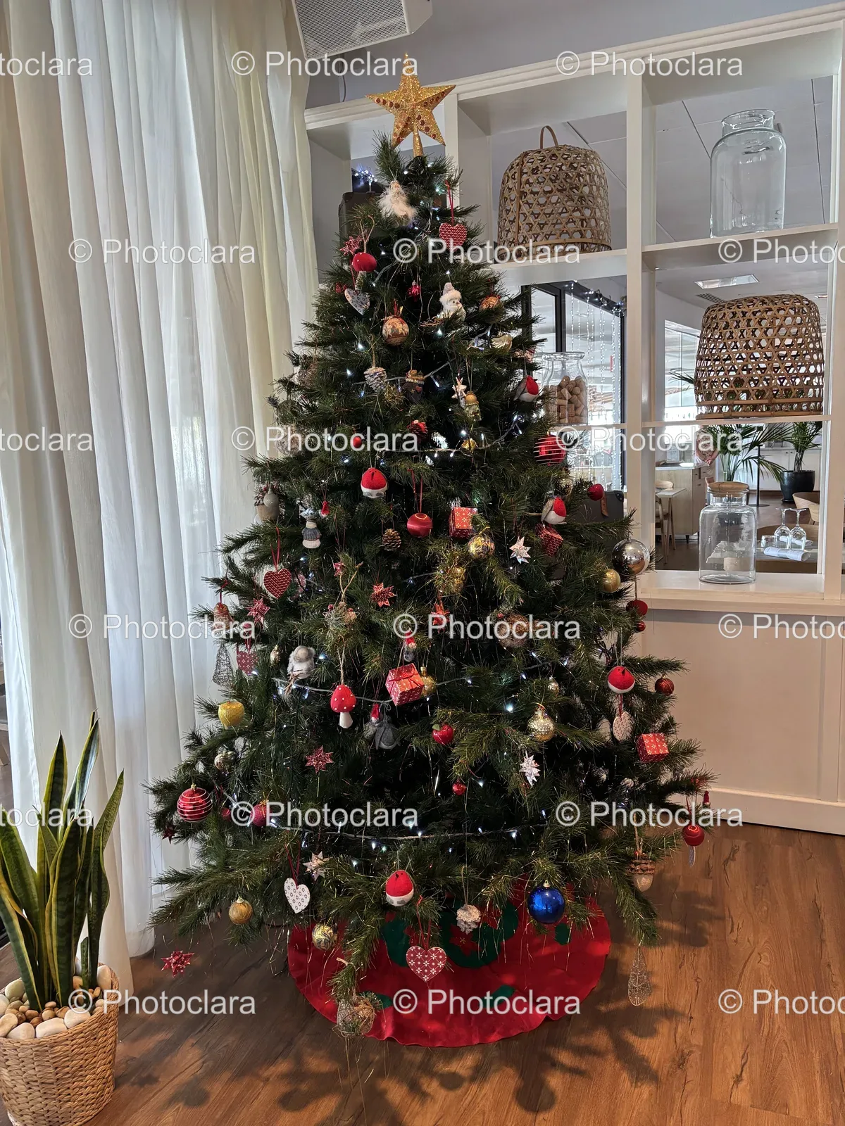 Cozy-Christmas-Tree-in-Festive-Living-Room.jpg