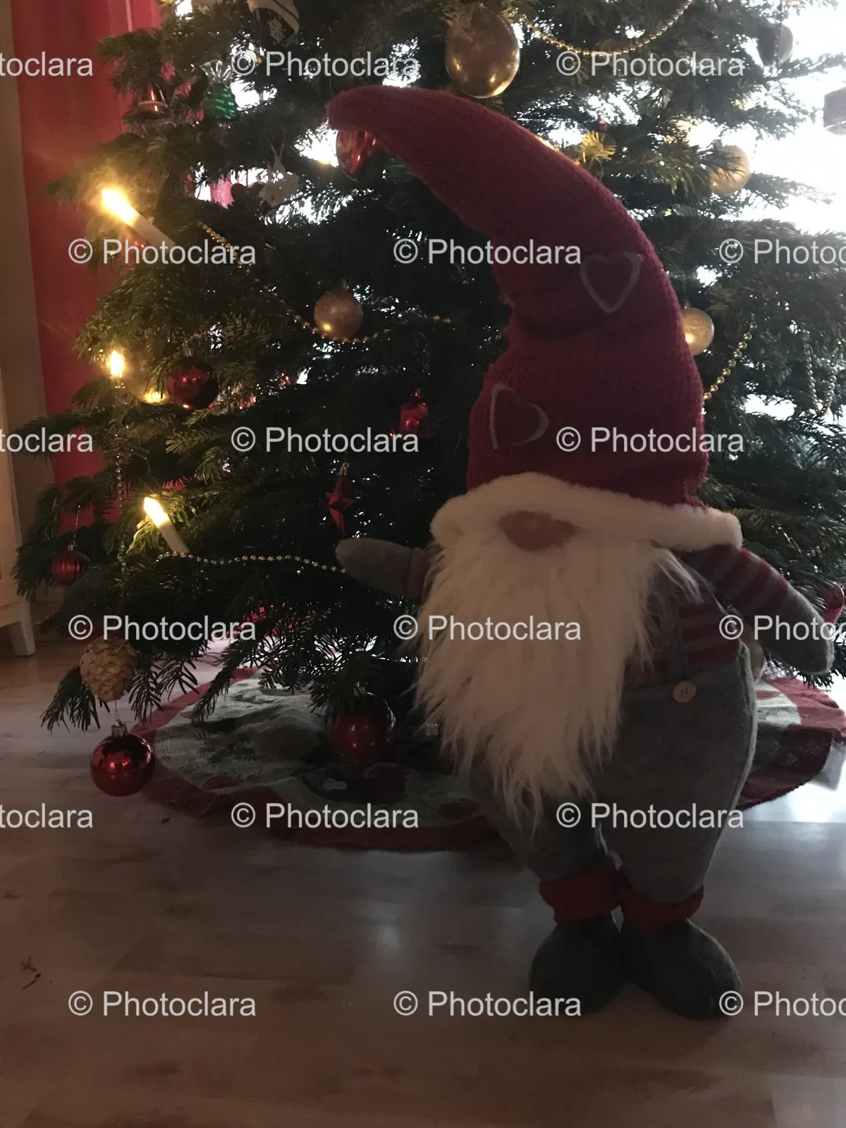 Festive-Gnome-by-the-Christmas-Tree.jpg