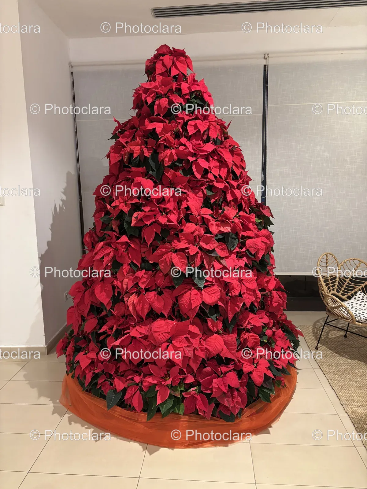 red-leaves-christmas-tree.jpg