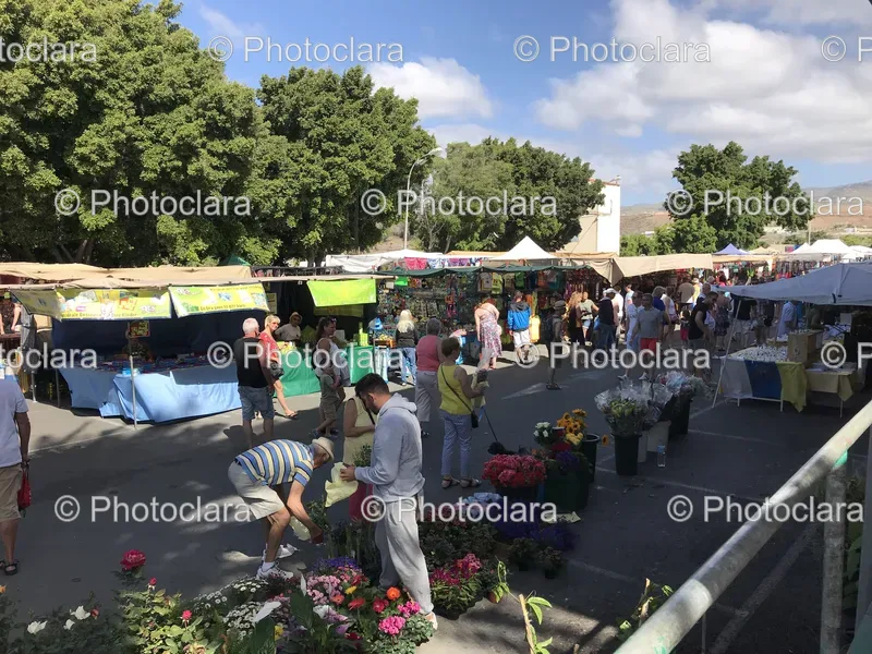 Festivals and Markets